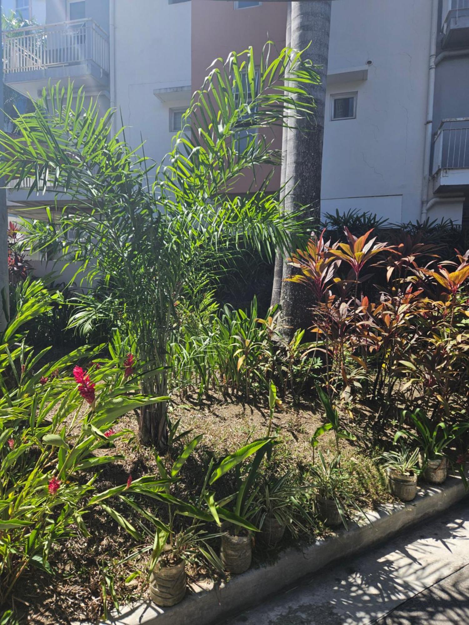 2-Bedroom Boutique City Condo - Newly Renovated! Cebú Exterior foto